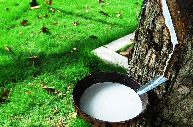 工業(yè)膠水